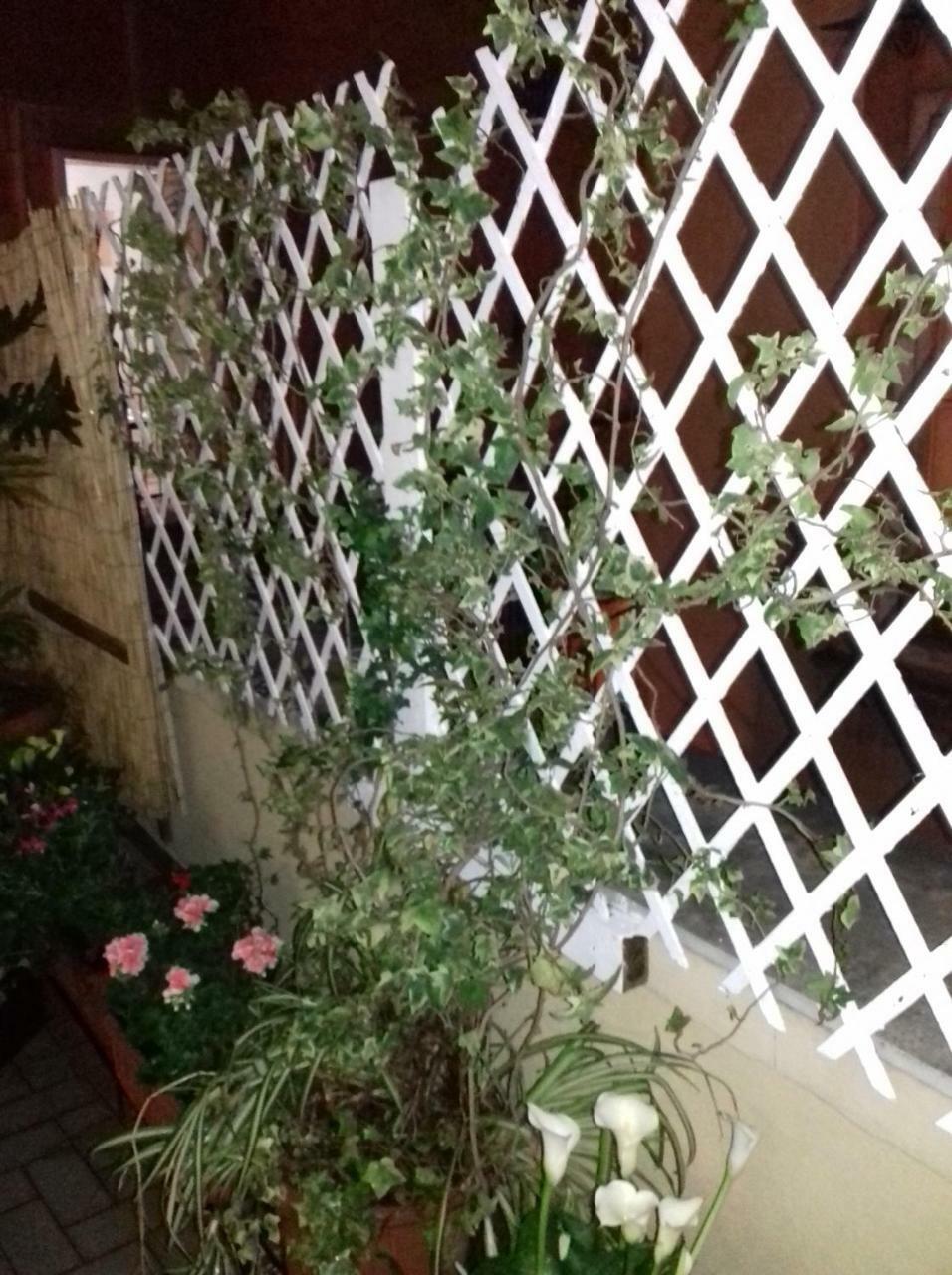 La Terrazza Di Dante Bed and Breakfast Neapol Zewnętrze zdjęcie